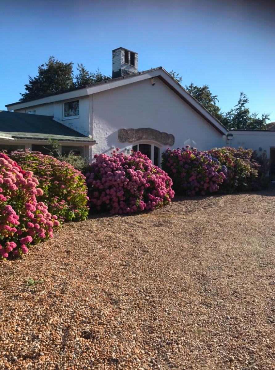 Not Ltd — Rye Midcentury Home
